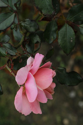 Similar image 22769851