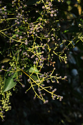 Similar image 22769854