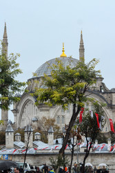 Similar image 22769867