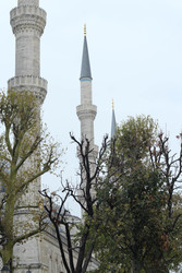 Similar image 22769869