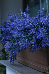 Similar image 22769898