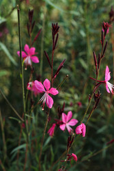 Similar image 22769900