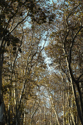 Similar image 22769913