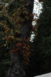 Similar image 22769930