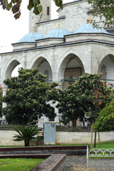 Similar image 22769941
