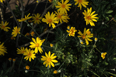 Similar image 22769942