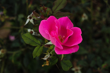 Similar image 22769959