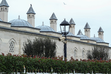 Similar image 22769987