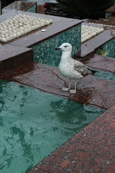 Similar image 22770047