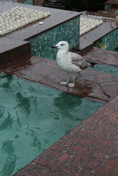 Similar image 22770061