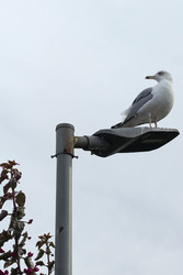 Similar image 22770076