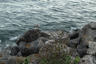 Similar image 22770105