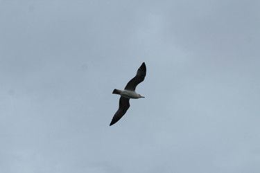Similar image 22770106