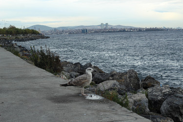 Similar image 22770109