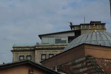 Similar image 22770123
