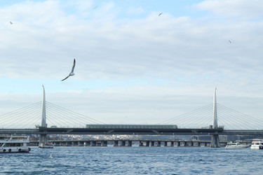 Similar image 22770124