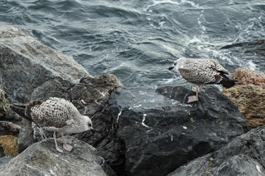Similar image 22770137