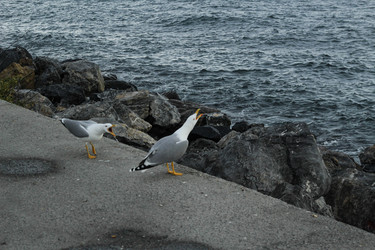 Similar image 22770138