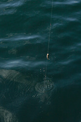 Similar image 22770139