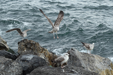 Similar image 22770152