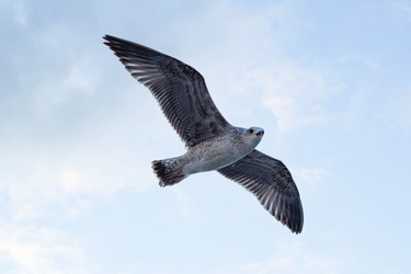 Similar image 22770153