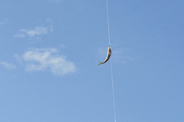 Similar image 22770167