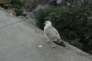 Similar image 22770168
