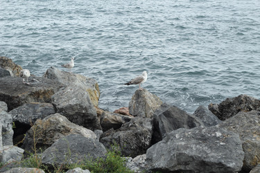 Similar image 22770169