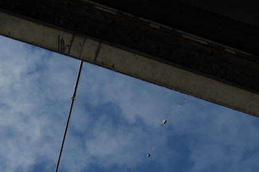 Similar image 22770184