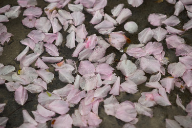 Similar image 22692798