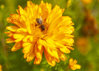 Similar image 22733734