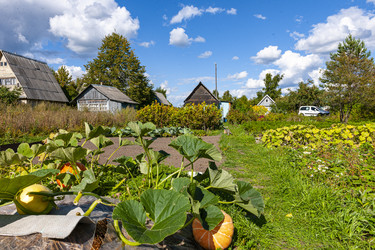 Similar image 22718060
