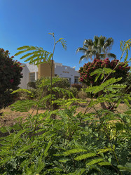 Similar image 22661051