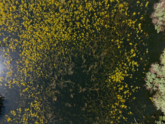Similar image 22650983