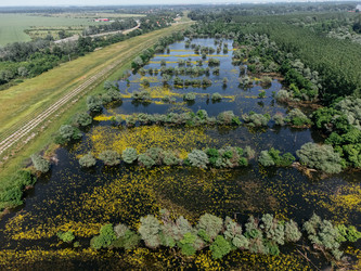 Similar image 22650997