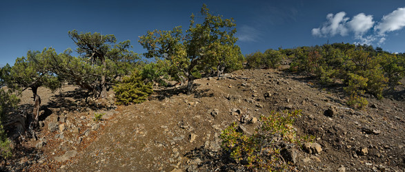 Similar image 22668353