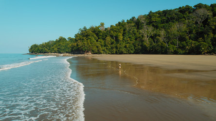 Similar image 22647709