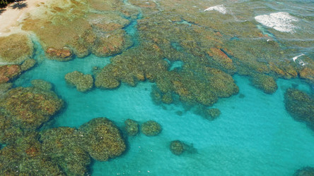 Similar image 22647711