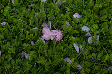 Similar image 22692783