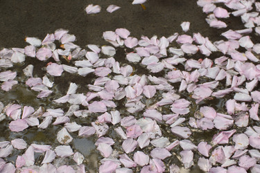 Similar image 22692784
