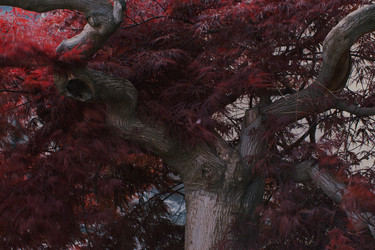 Similar image 22692785