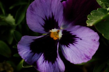Similar image 22692786