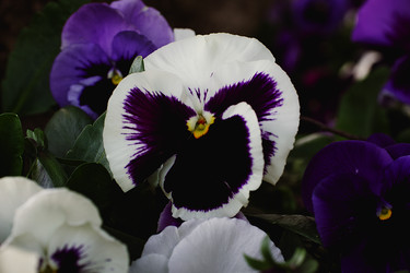Similar image 22692787