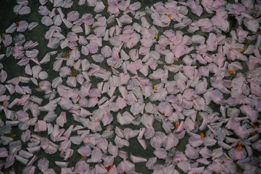 Similar image 22692794