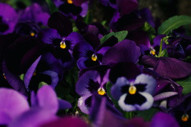 Similar image 22692802