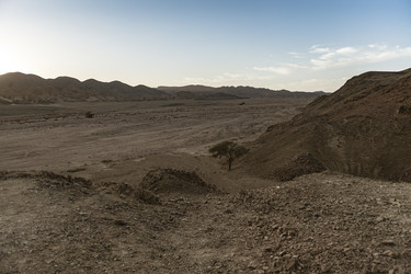 Similar image 22679575