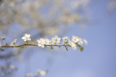 Similar image 22679814