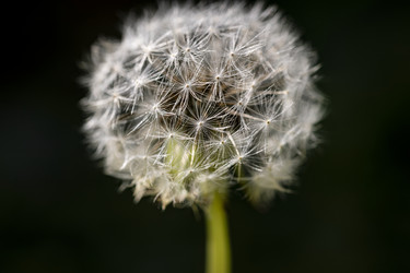 Similar image 22679830
