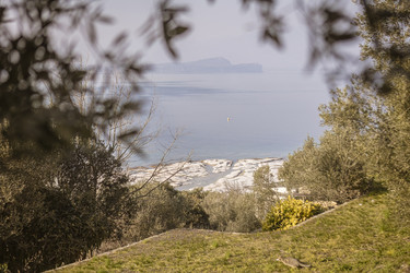 Similar image 22680114