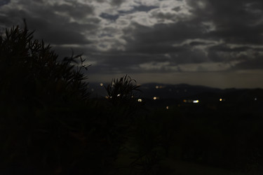 Similar image 22693922